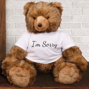 i am sorry teddy bear