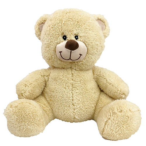plain teddy bear