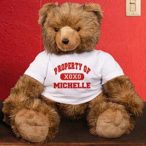 personalized teddy bears valentines day