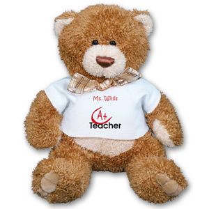 best teacher teddy