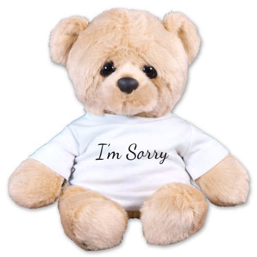 teddy bear with sorry message