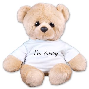 sorry teddy bear