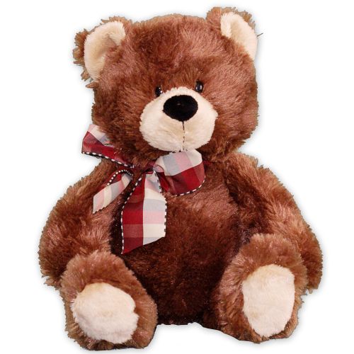 Plush Brown Teddy Bear - 24