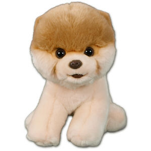 boo the cutest dog stuffed animal