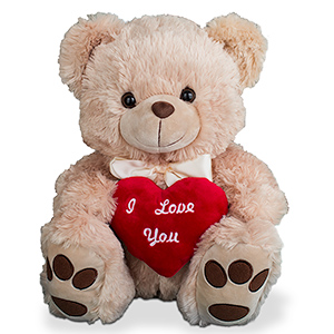 i love you teddy bear for boyfriend
