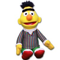 plush bert